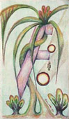 img1t.jpg (12755 bytes)